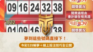 夢到這些號碼直接下！